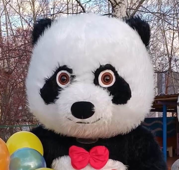 Мишка Поздравляю