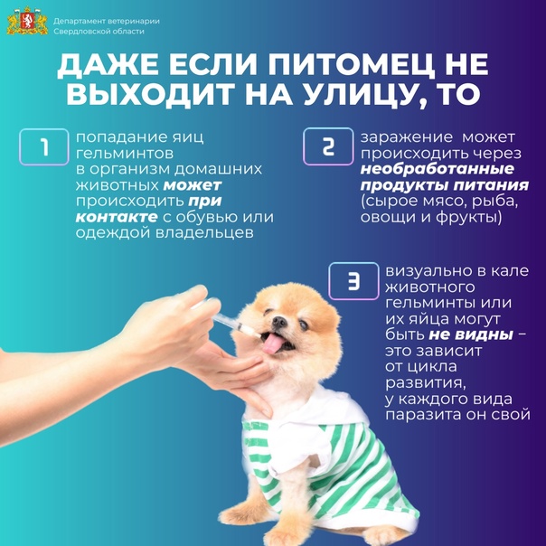 дегельмин2.jpg