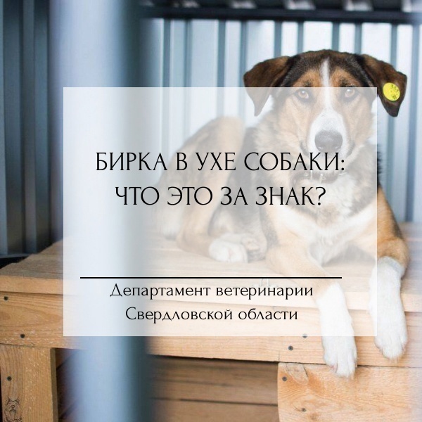 JL2u4scYHdk.jpg