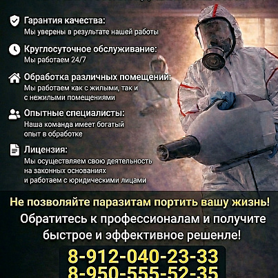 ДезСервис