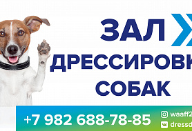 Гав