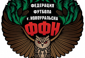 Федерация футбола