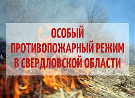 6 июля вступили в силу изменения в Постановлении Правительства Свердловской области от 11.04.2024 №244-ПП «Об установлении особого противопожарного режима на территории Свердловской области»