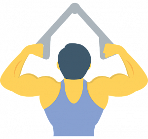 Спорт / фитнес