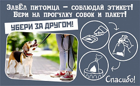 Завел питомца - соблюдай этикет Бери на прогулку совок и пакет
